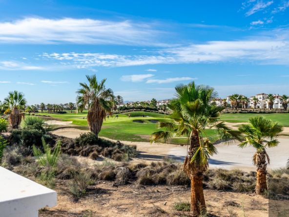 How to Buy Property in Murcia The Steps to Finding Your Home